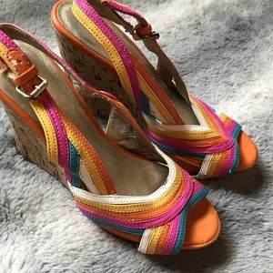 Rainbow Wedges